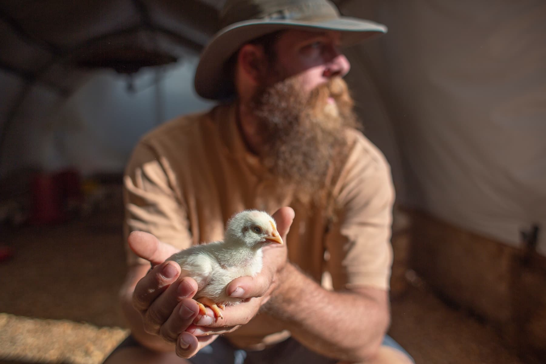 Certified Organic Regenerative Chicken