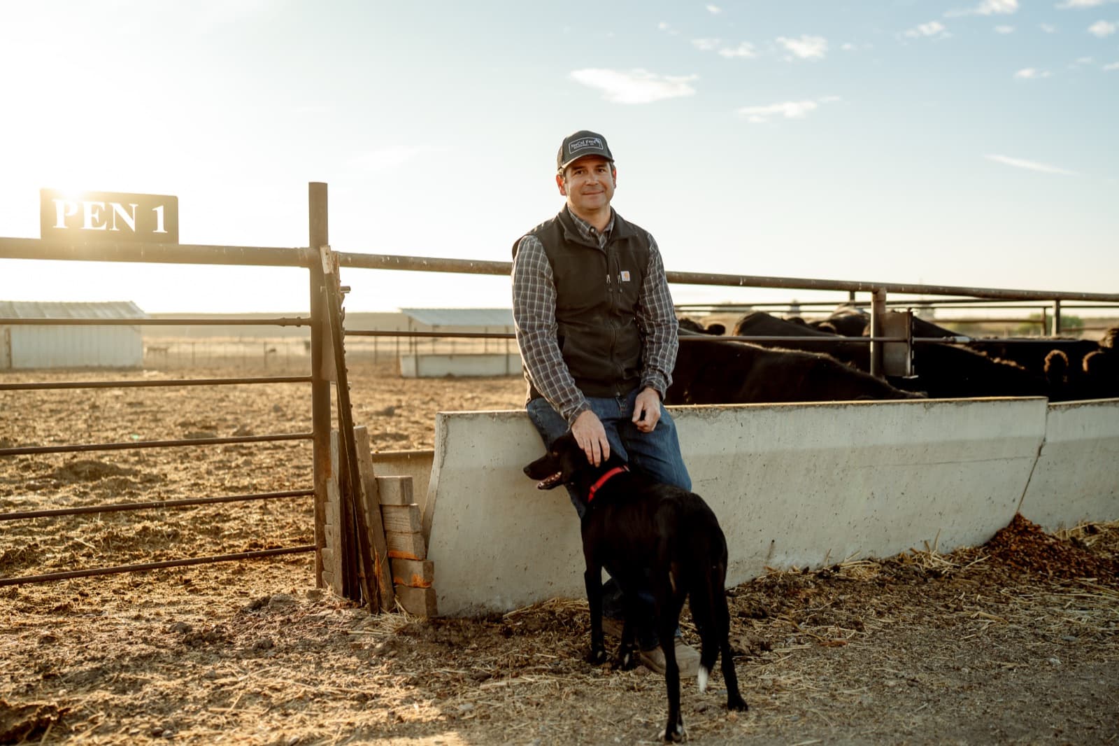 Hungry Hollow Cattle Company