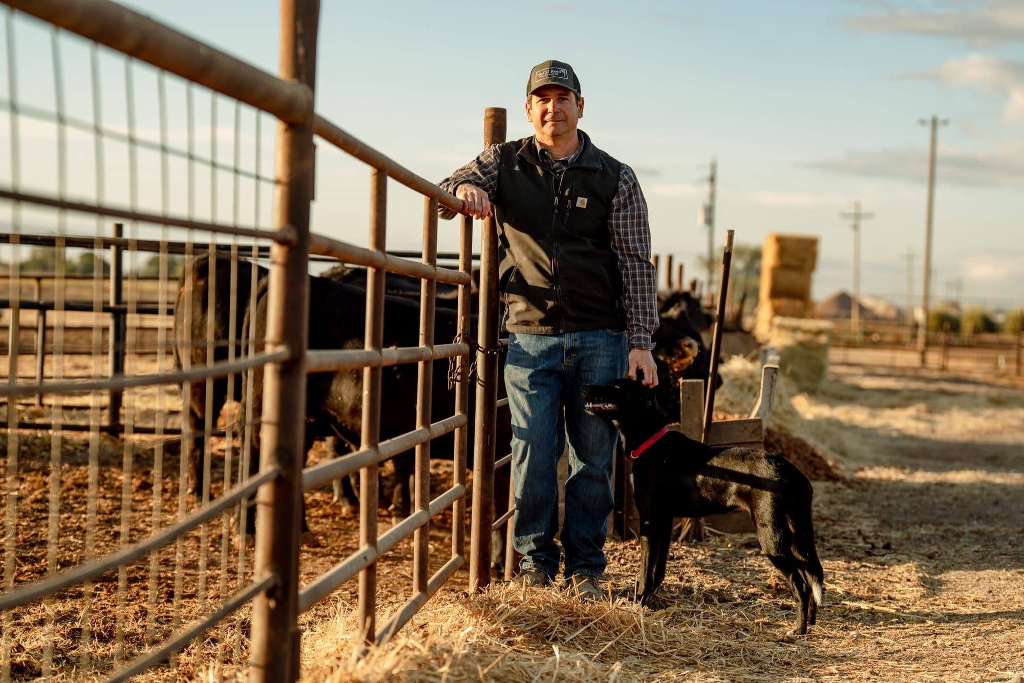 Hungry Hollow Cattle Company — photo 1