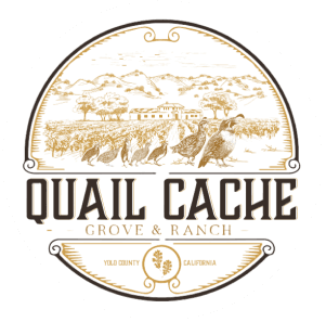 Quail Cache Ranch logo